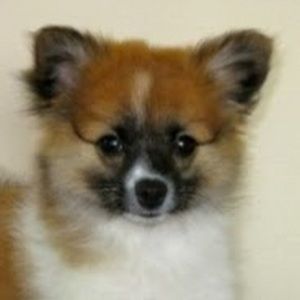 Meet your Posher, Arline